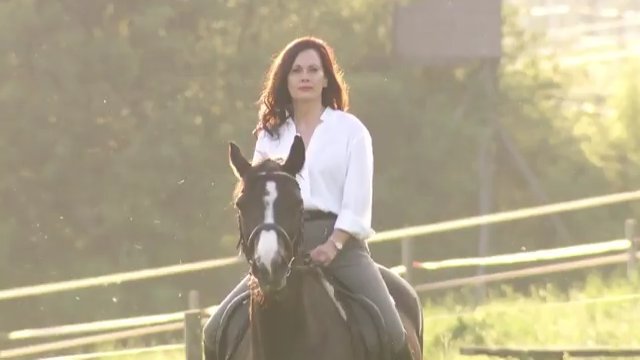 Vorschaubild Hoch zu Ross